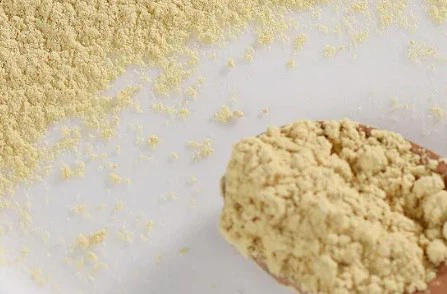 bulk ginger powder bulk ginger powder