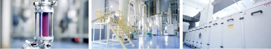 blue spirulina powder process