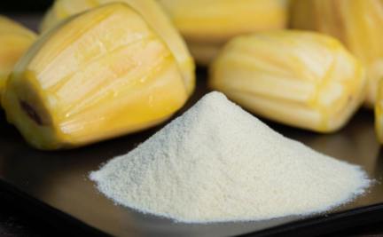 jack fruit powder jack fruit powder