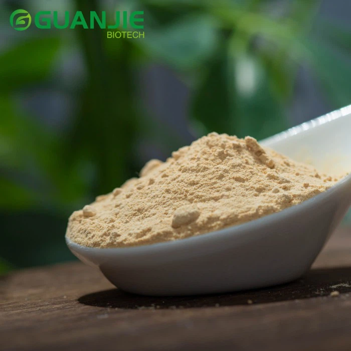 Apricot Fruit Powder Apricot Fruit Powder
