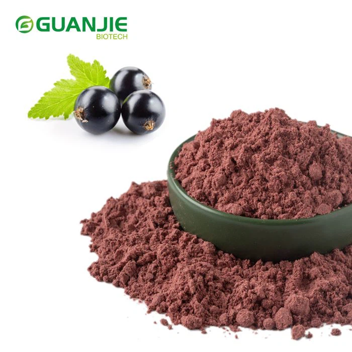 Freeze Dried Blackcurrant Powder
