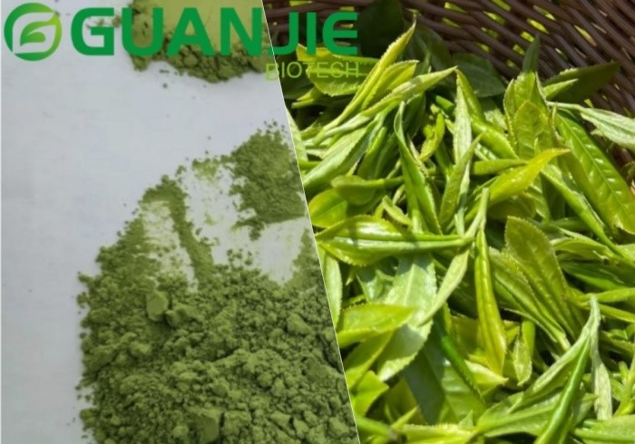 news-1-1 Is Green Tea Powder Better Than Leaves