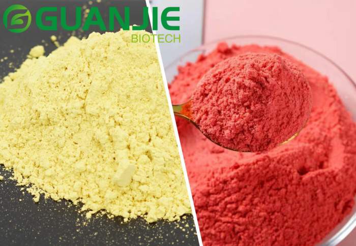 Does Strawberry Powder Contain Fisetin Does Strawberry Powder Contain Fisetin