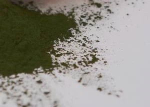 natural chlorella powder natural chlorella powder