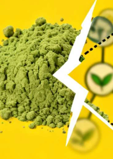 NATURAL MATCHA POWDER NATURAL MATCHA POWDER