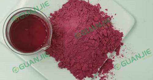 Blueberry Juice Powder Blueberry Juice Powder