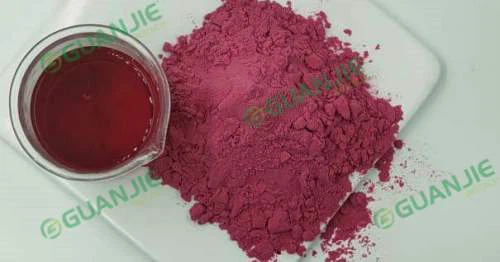 Blueberry Juice Powder Blueberry Juice Powder