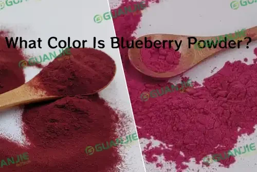 Blueberry Powder color Blueberry Powder color
