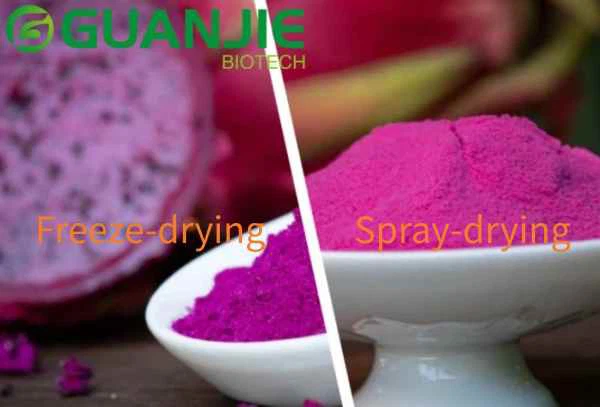 BULK dragon fruit powder BULK dragon fruit powder