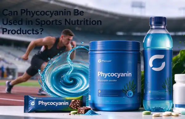 Can Phycocyanin Be Used in Sports Nutrition Products Can Phycocyanin Be Used in Sports Nutrition Products