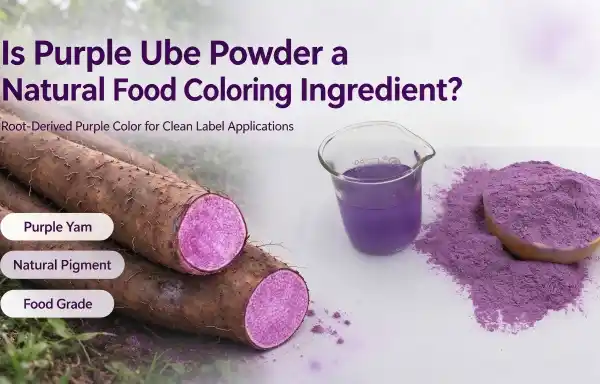 purple yam powder bulk purple yam powder bulk