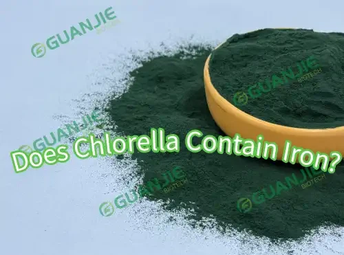 Does Chlorella Contain Iron?
