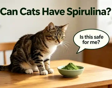 Can Cats Have Spirulina?