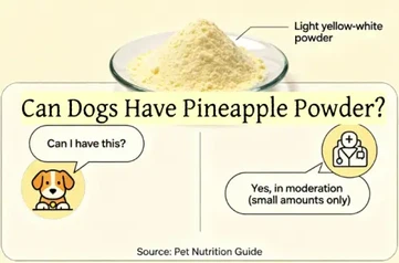 Can Dogs Have Pineapple Powder?