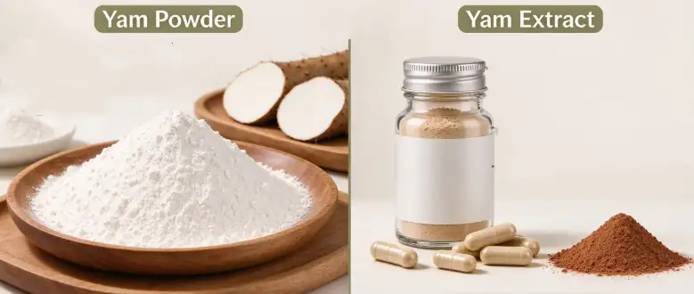 Yam Powder Vs Yam Extract: Differences For Supplement Manufacturers