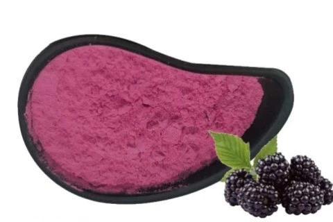 Bulk Freeze Dried Mulberry Powder Bulk Freeze Dried Mulberry Powder