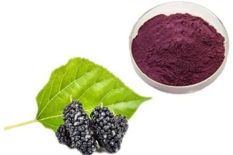 Freeze Dried Mulberry Powder Freeze Dried Mulberry Powder
