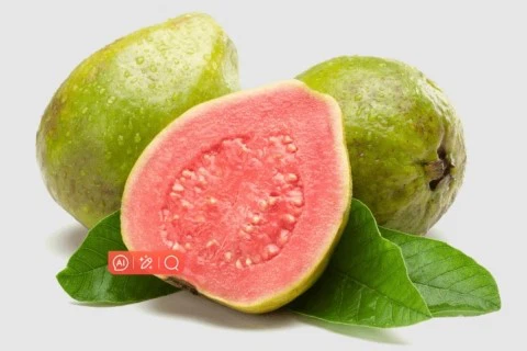 Bulk Guava Fruit Powder Bulk Guava Fruit Powder